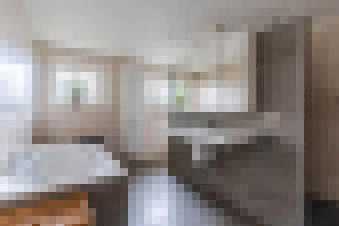 Boksheide 4 Eersel thumbnail 21