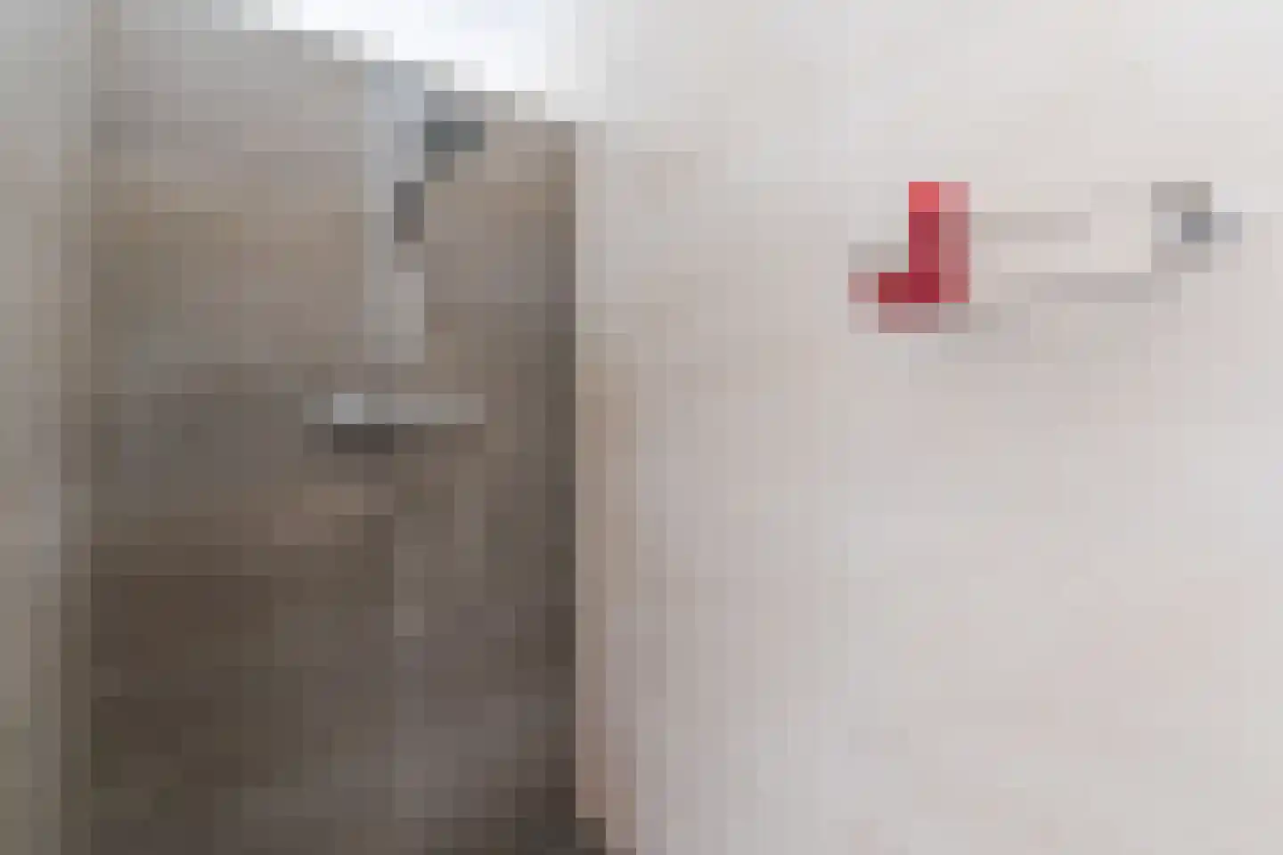 Boksheide 4 Eersel thumbnail 23