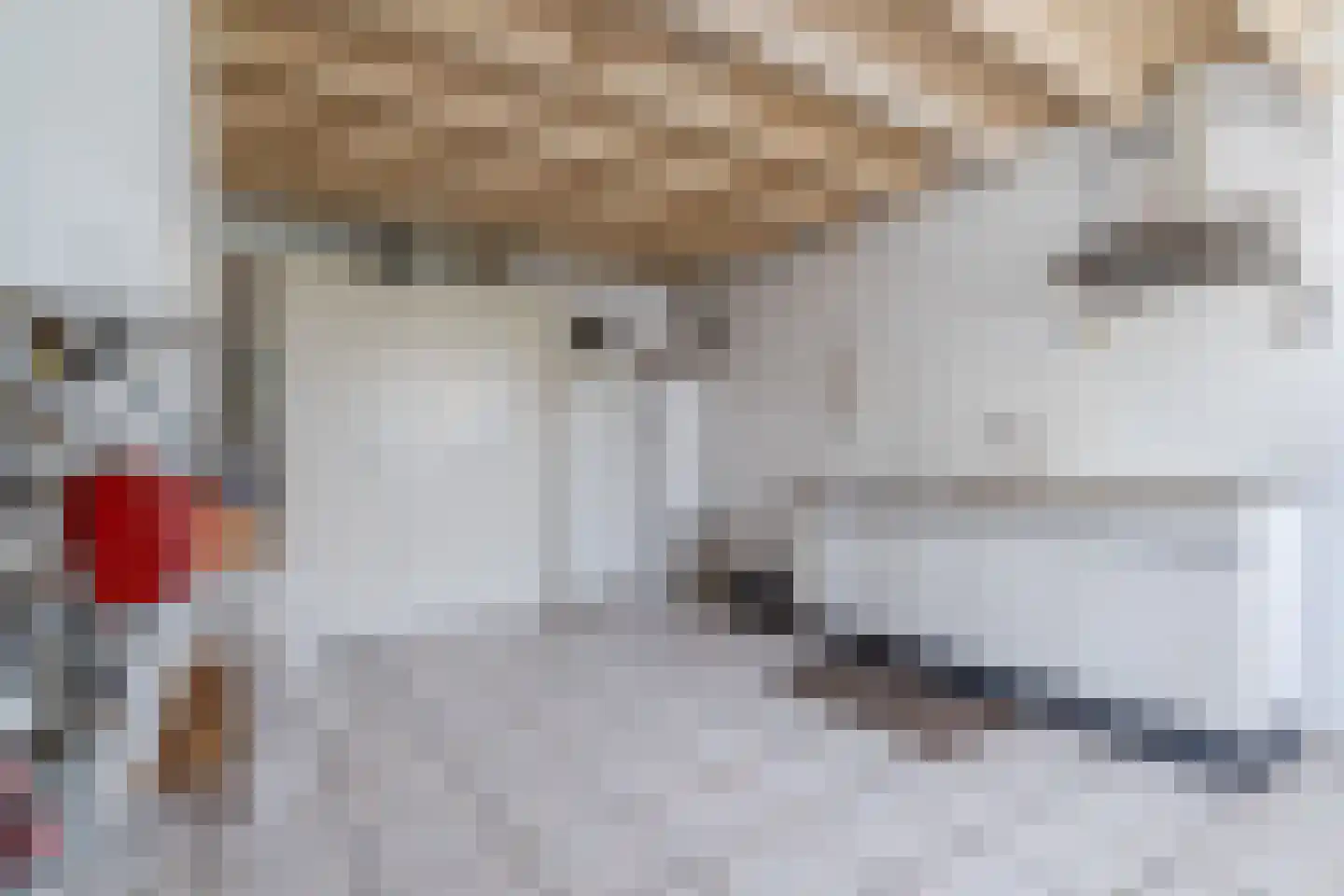 Boksheide 4 Eersel thumbnail 29