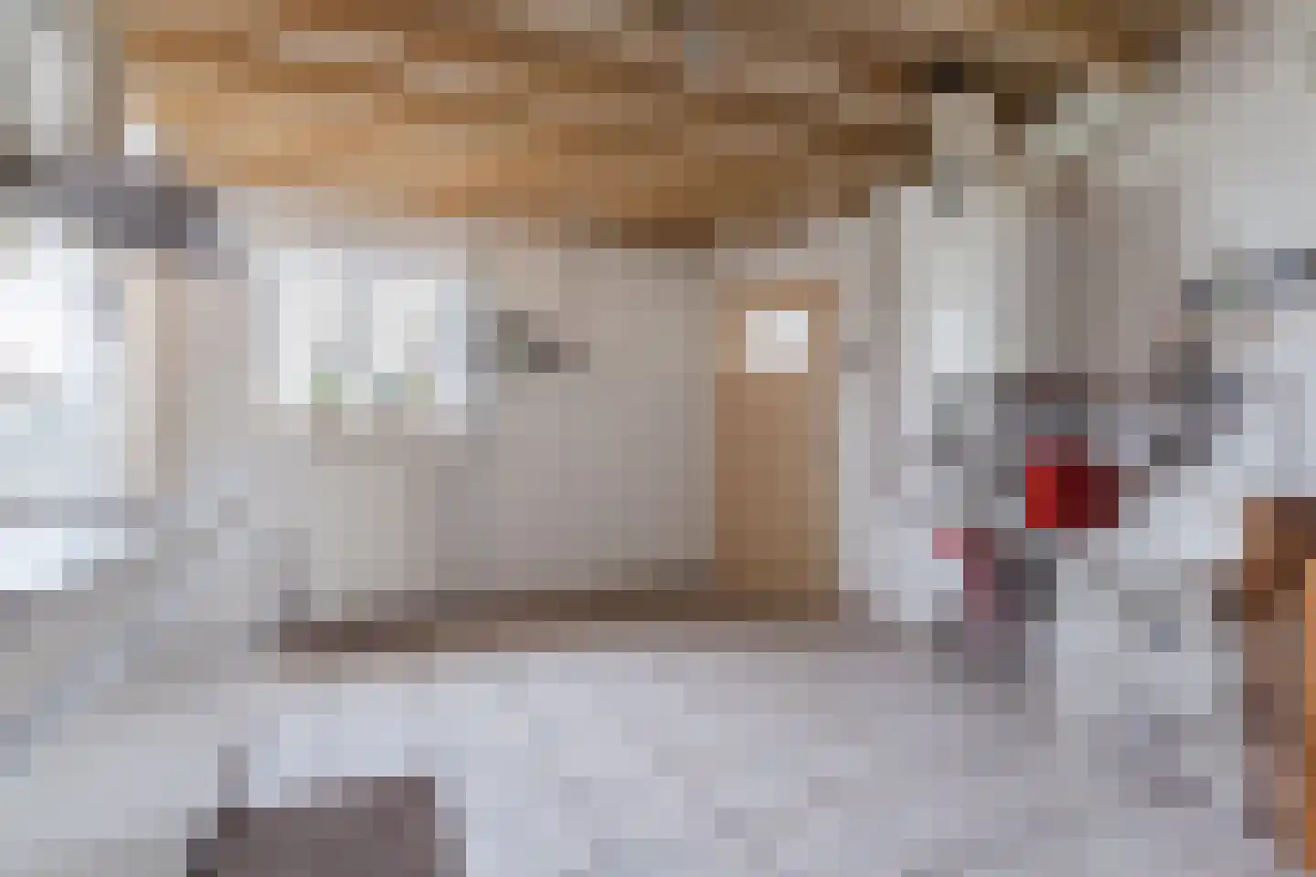 Boksheide 4 Eersel thumbnail 30