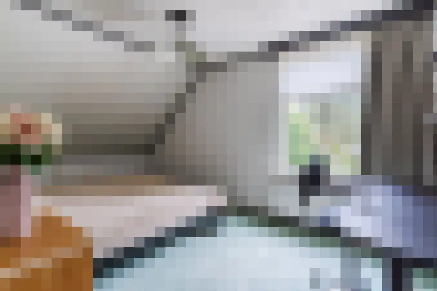Boksheide 4 Eersel thumbnail 34