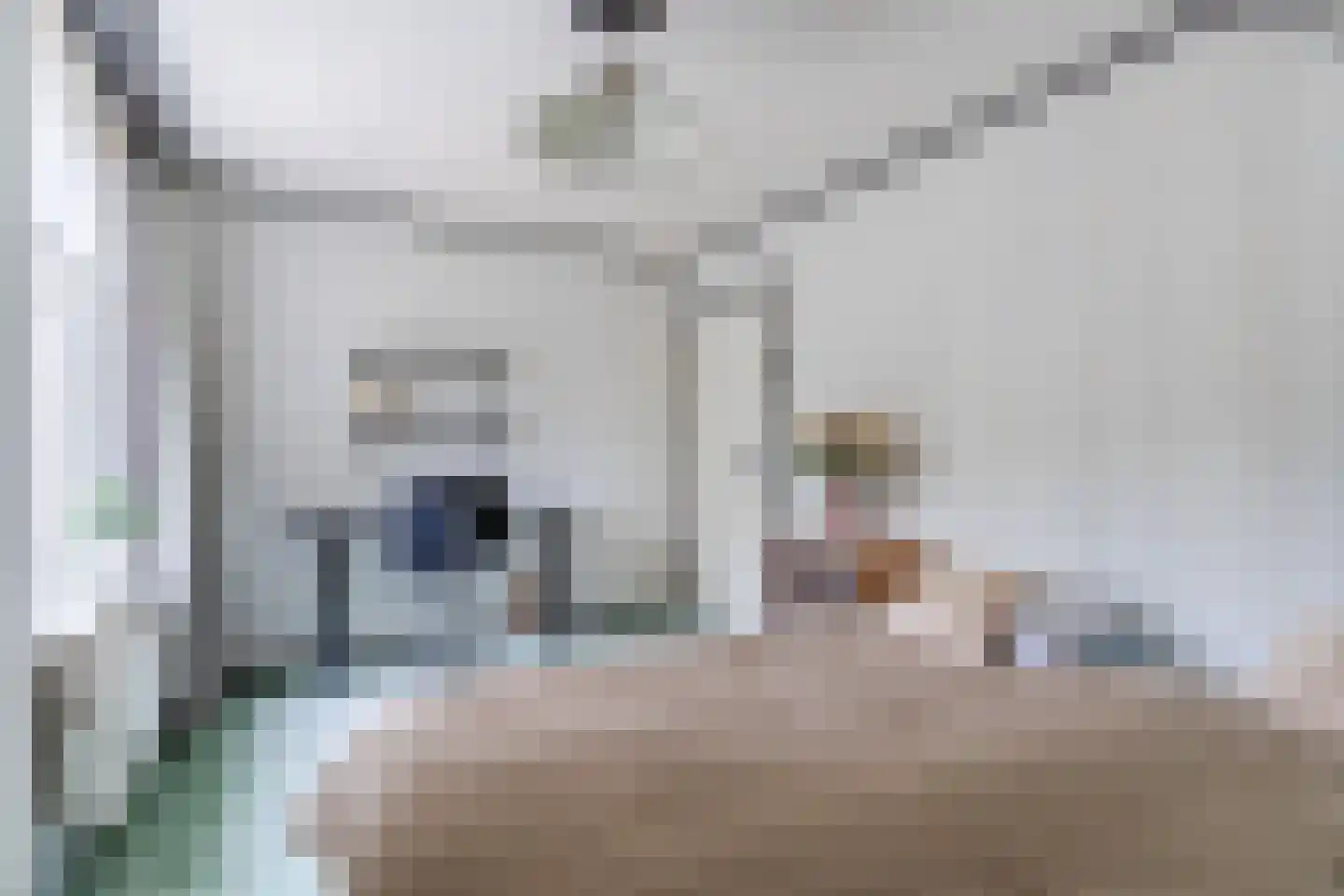 Boksheide 4 Eersel thumbnail 35
