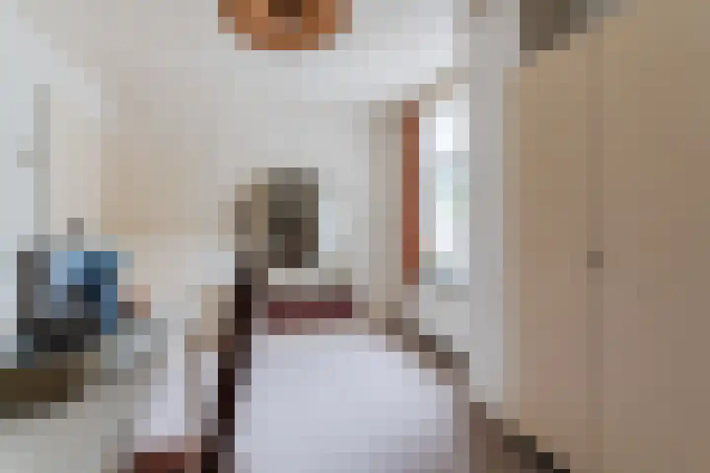 Boksheide 4 Eersel thumbnail 37