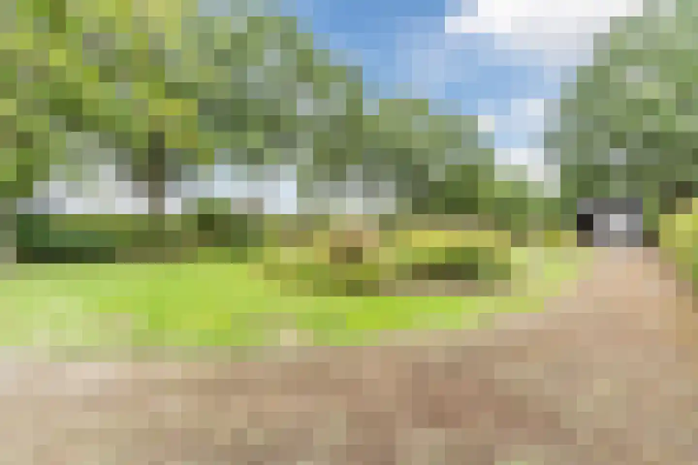 Boksheide 4 Eersel thumbnail 4