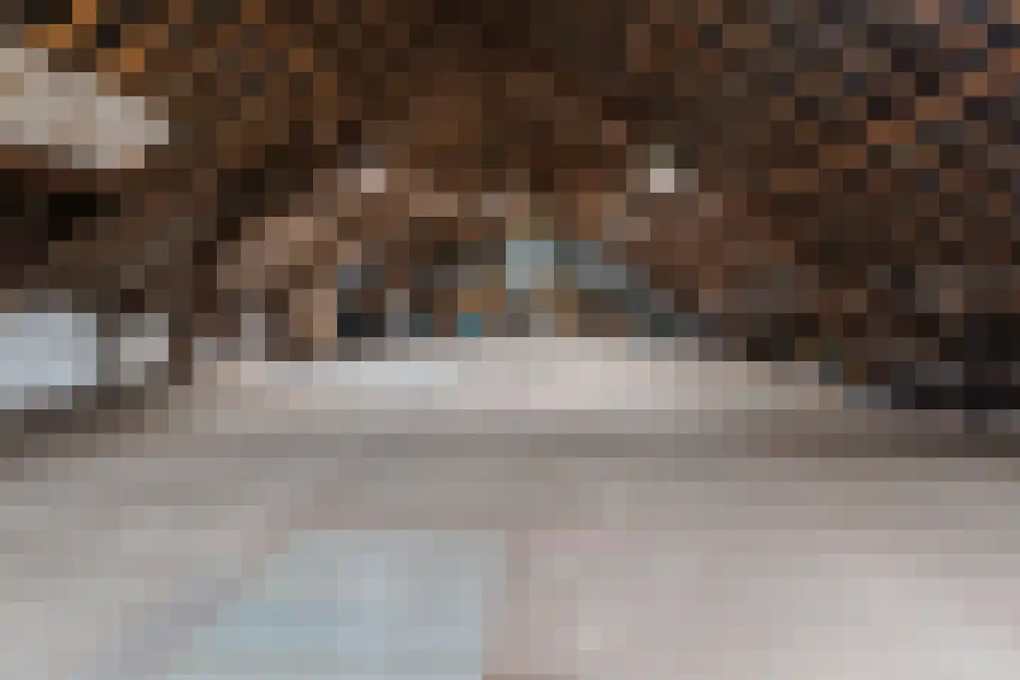 Boksheide 4 Eersel thumbnail 46