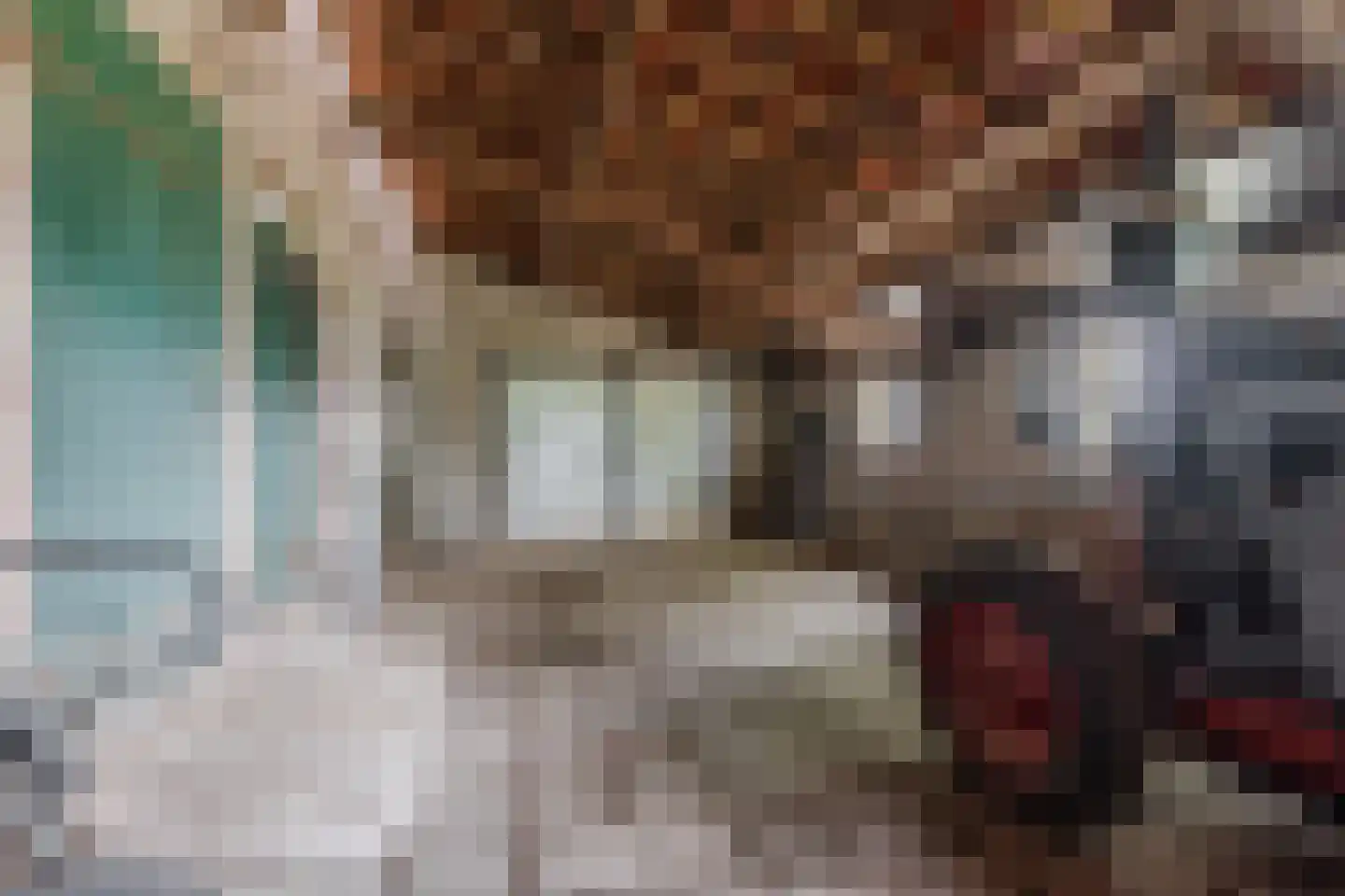 Boksheide 4 Eersel thumbnail 47