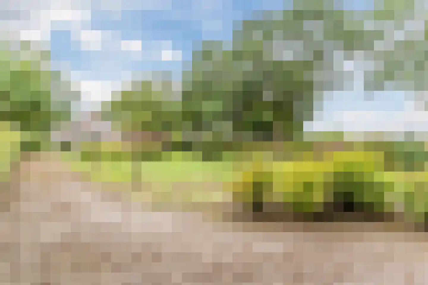 Boksheide 4 Eersel thumbnail 49