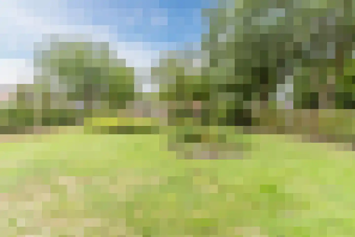 Boksheide 4 Eersel thumbnail 50