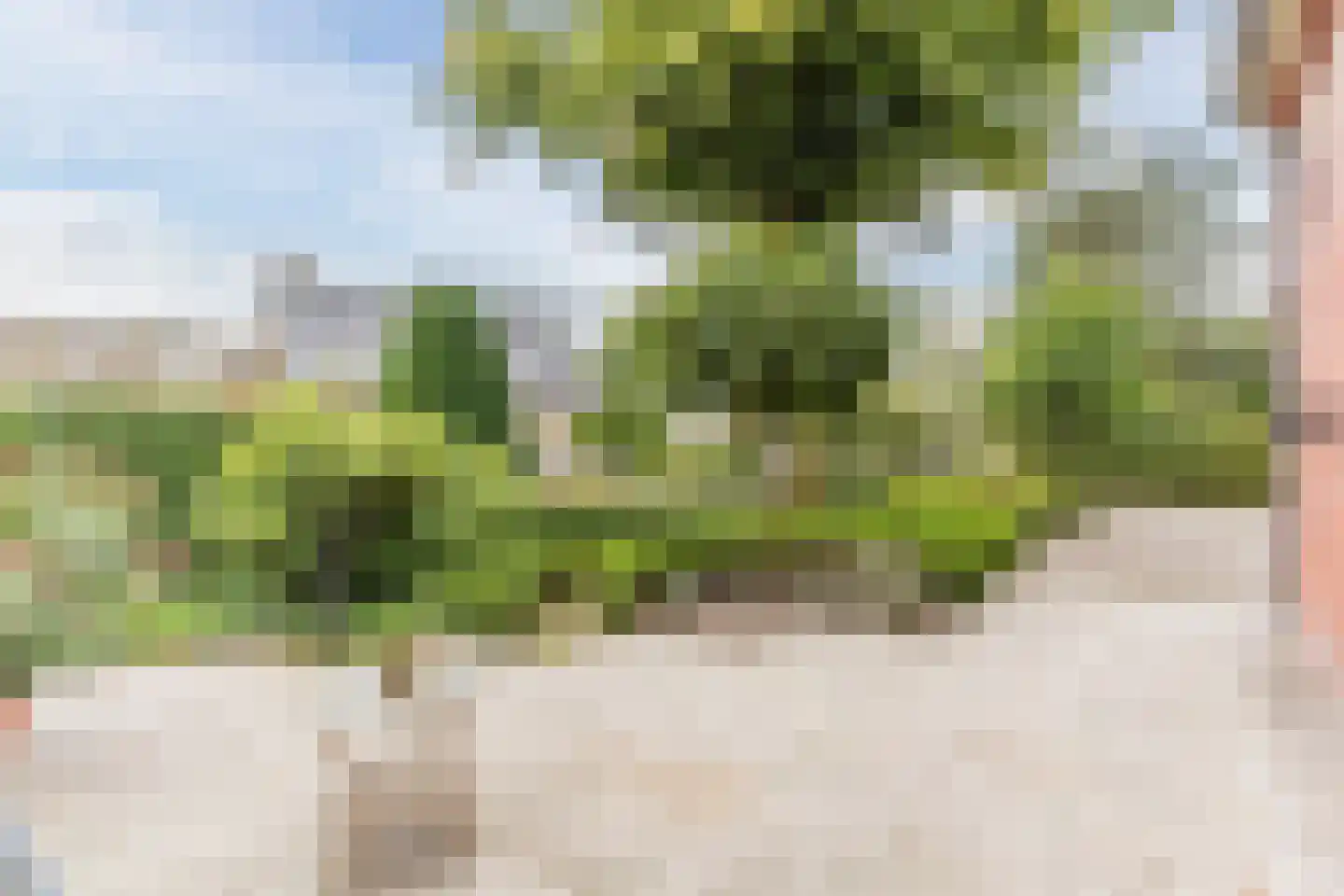 Boksheide 4 Eersel thumbnail 51