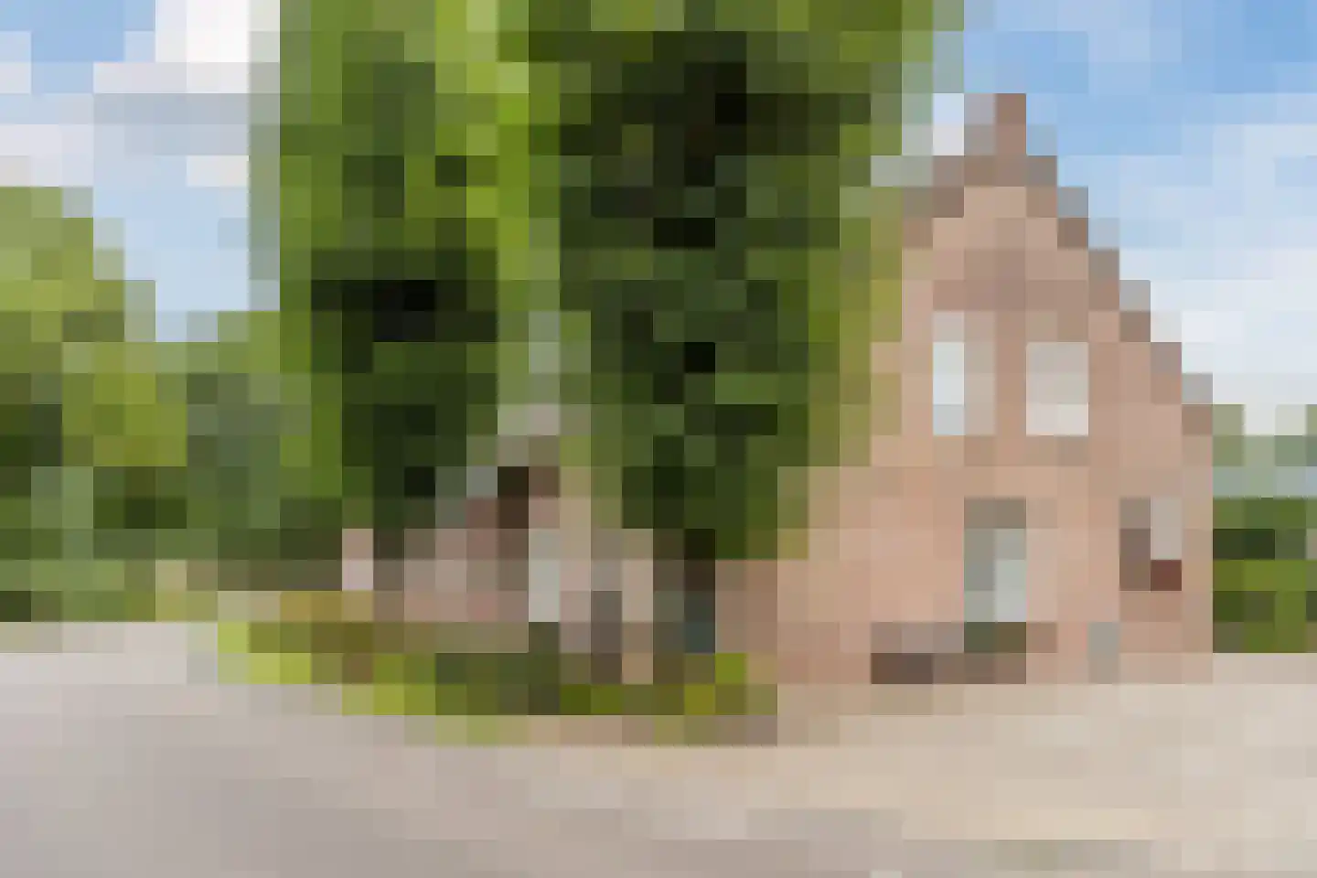 Boksheide 4 Eersel thumbnail 7