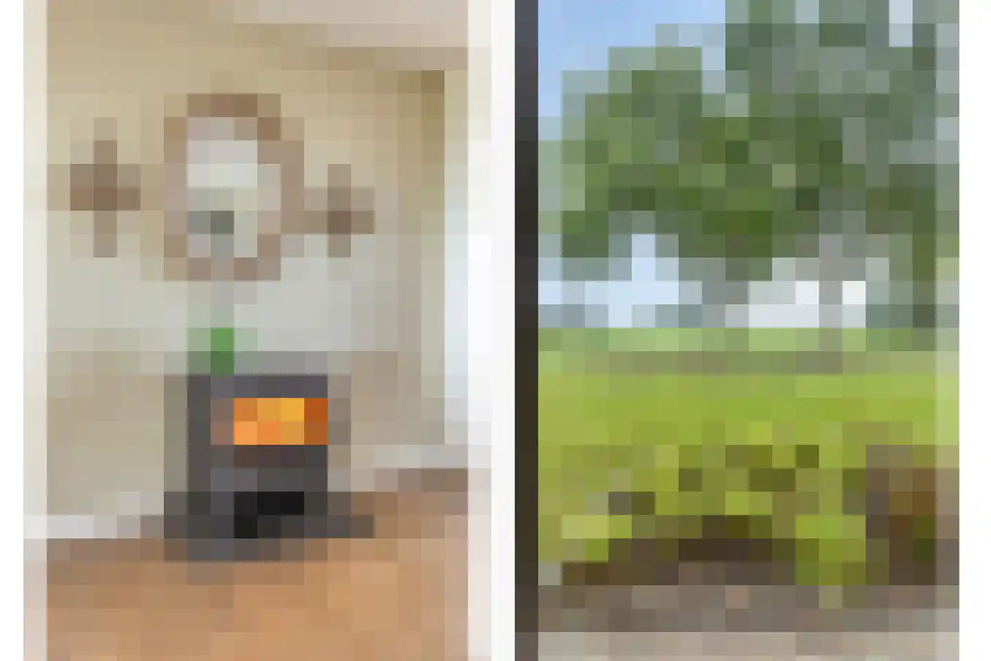 Boksheidsedijk 18 Eersel thumbnail 16
