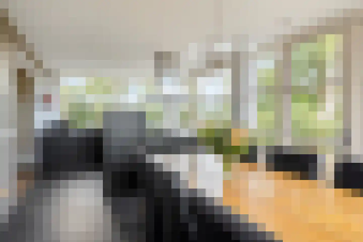 Boksheidsedijk 18 Eersel thumbnail 19