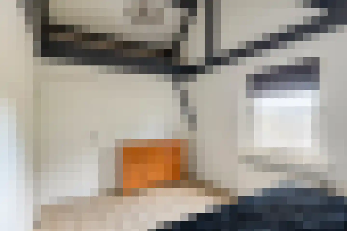 Boksheidsedijk 18 Eersel thumbnail 33