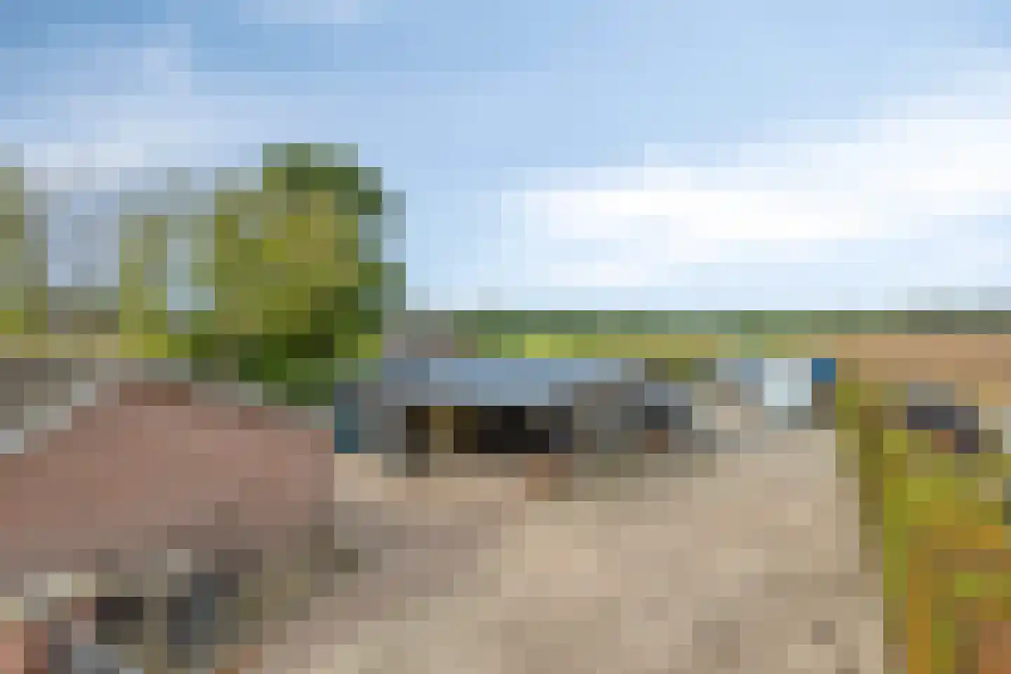 Boksheidsedijk 18 Eersel thumbnail 4