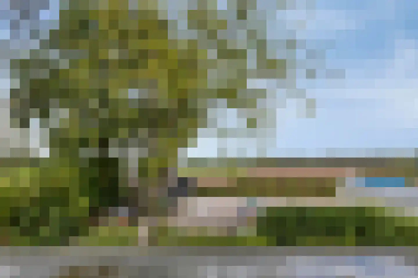 Boksheidsedijk 18 Eersel thumbnail 41
