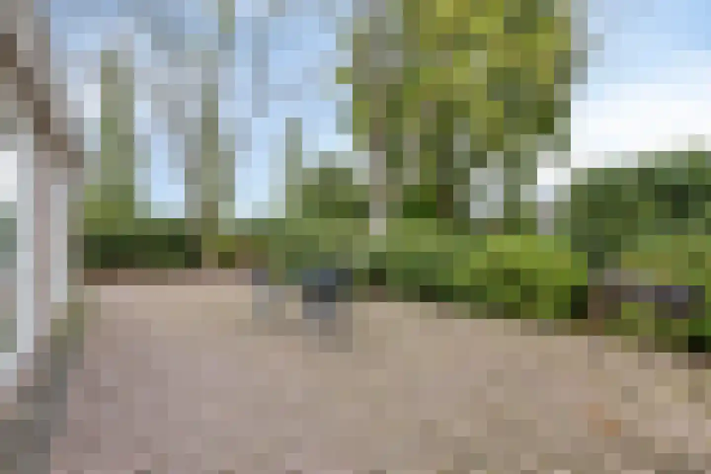 Boksheidsedijk 18 Eersel thumbnail 42