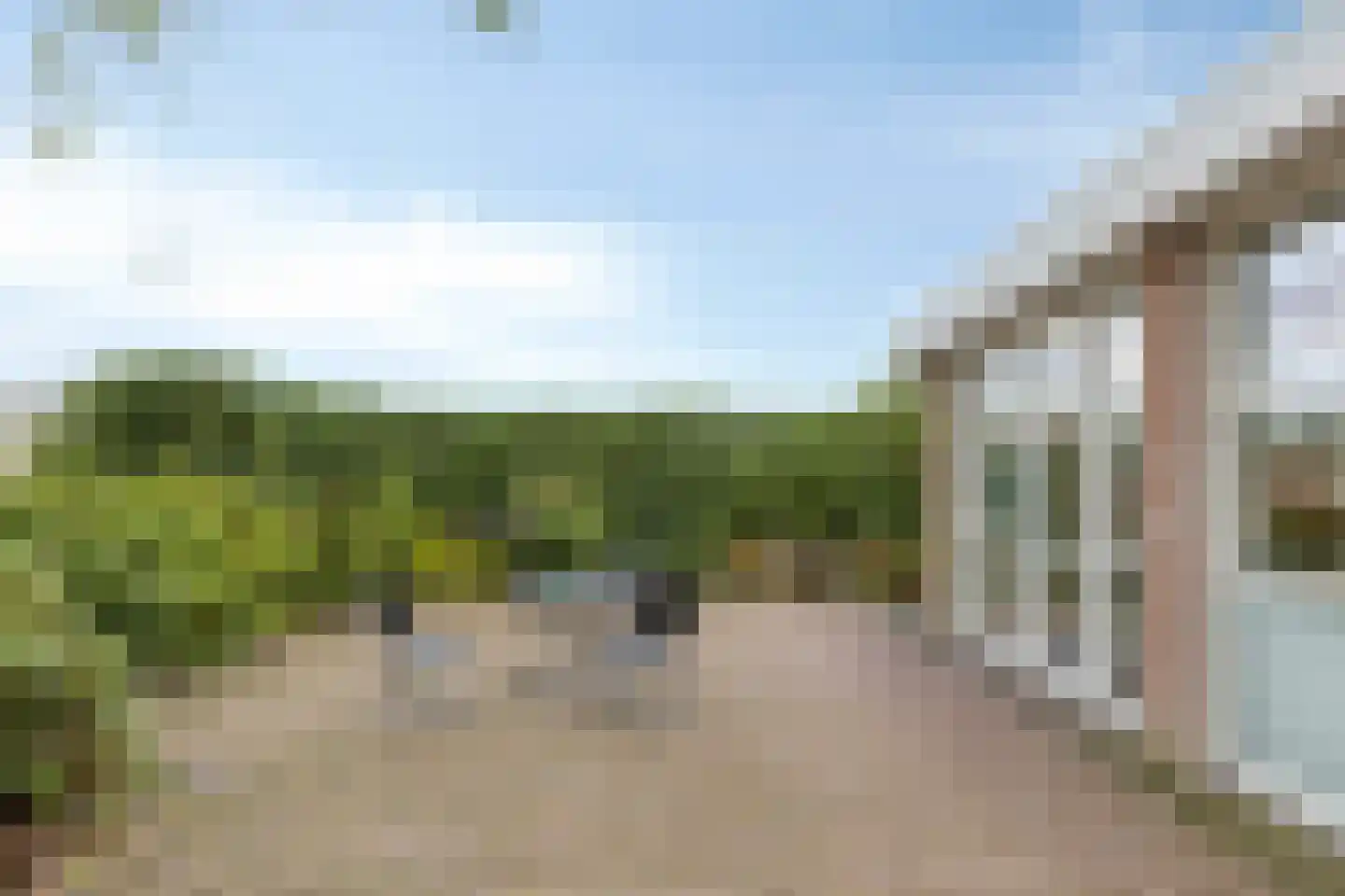 Boksheidsedijk 18 Eersel thumbnail 44