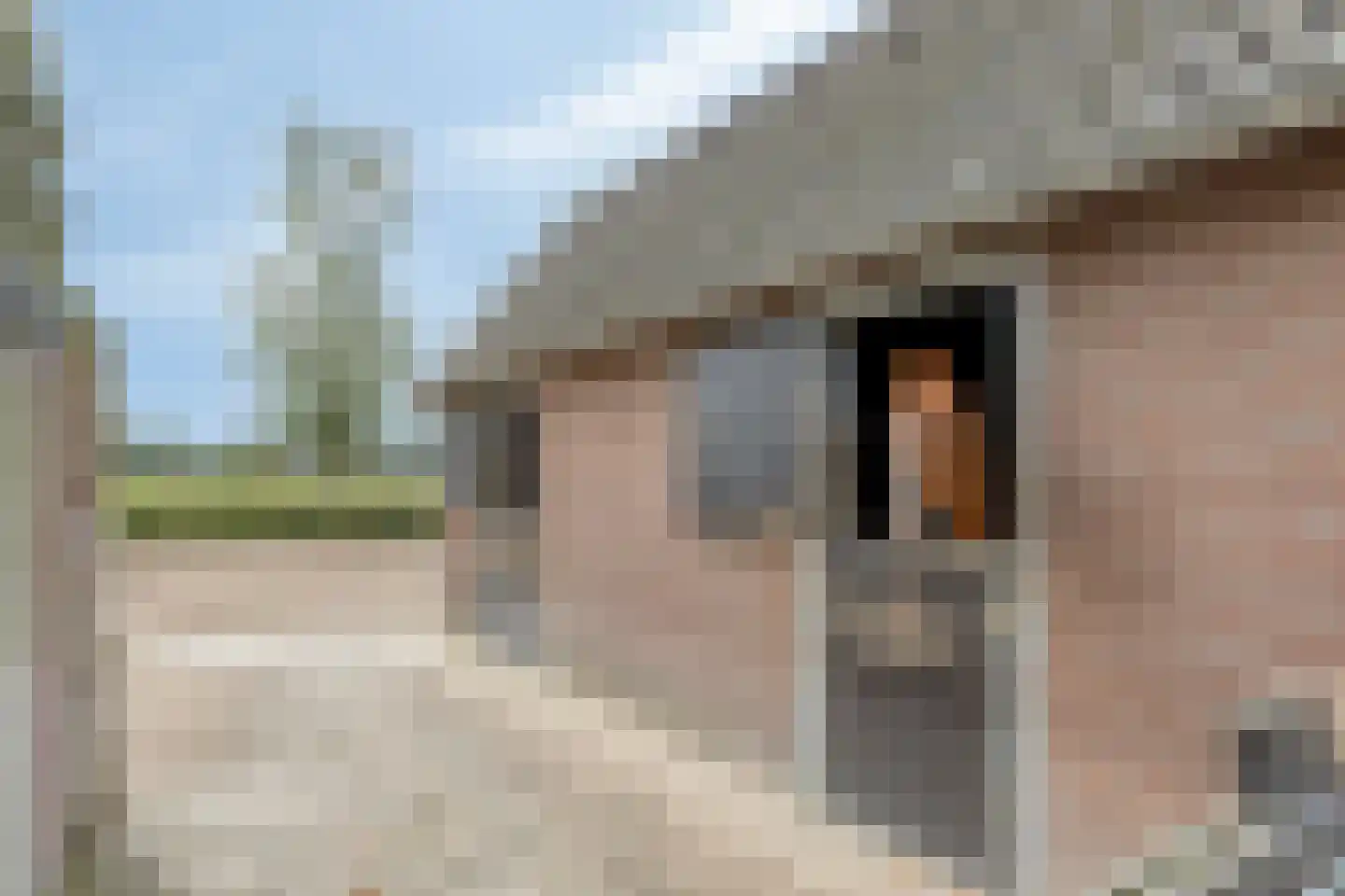 Boksheidsedijk 18 Eersel thumbnail 56