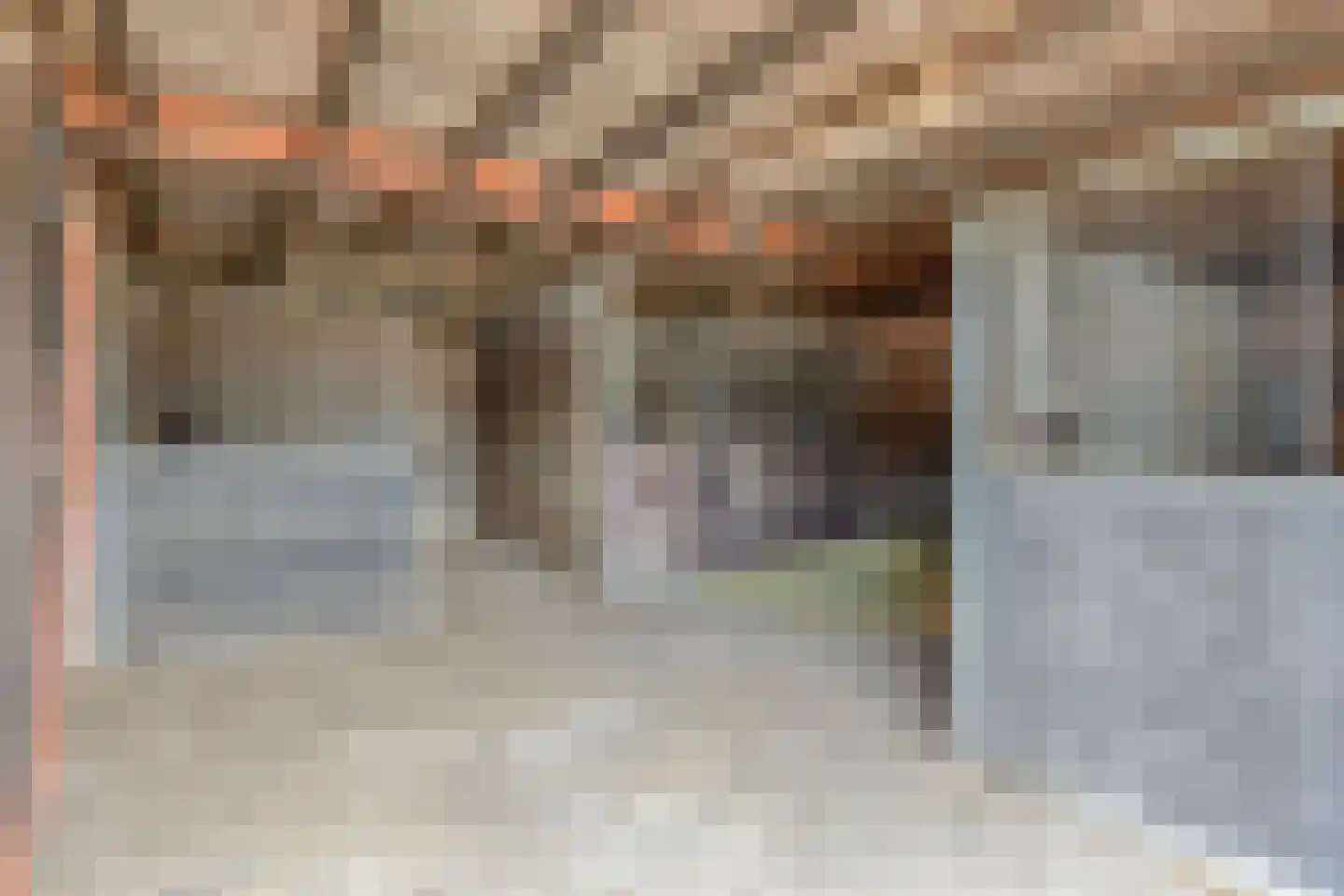Boksheidsedijk 18 Eersel thumbnail 57