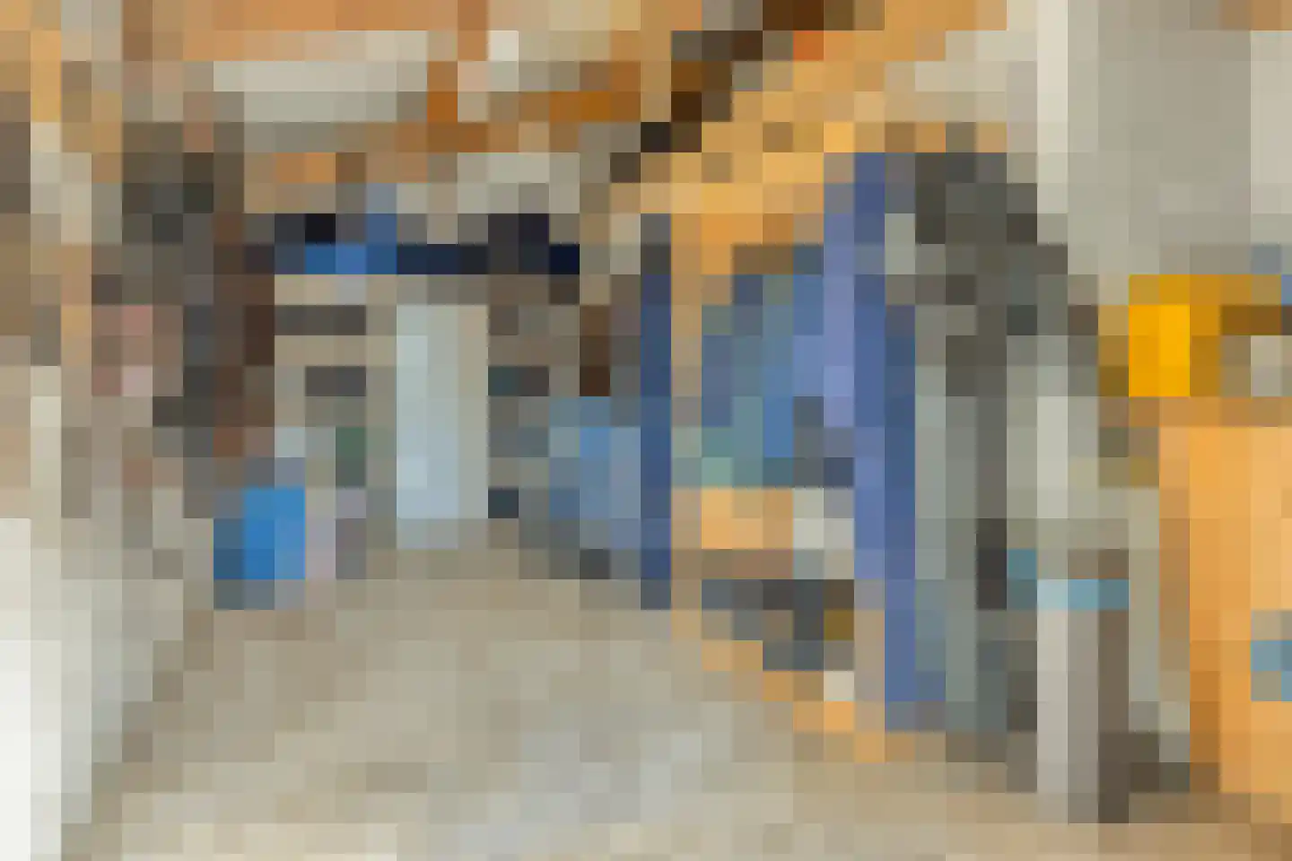 Boksheidsedijk 18 Eersel thumbnail 64
