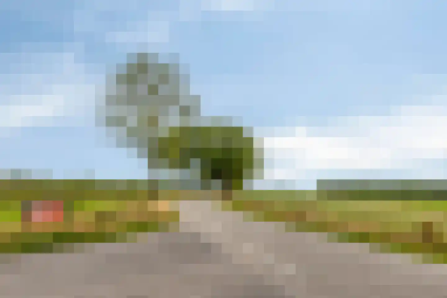 Boksheidsedijk 18 Eersel thumbnail 66