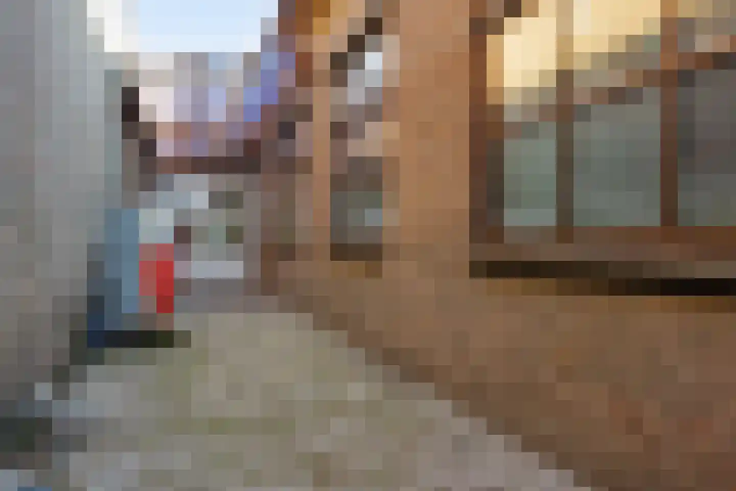 Boksheuvelstraat 22 's-Hertogenbosch thumbnail 13