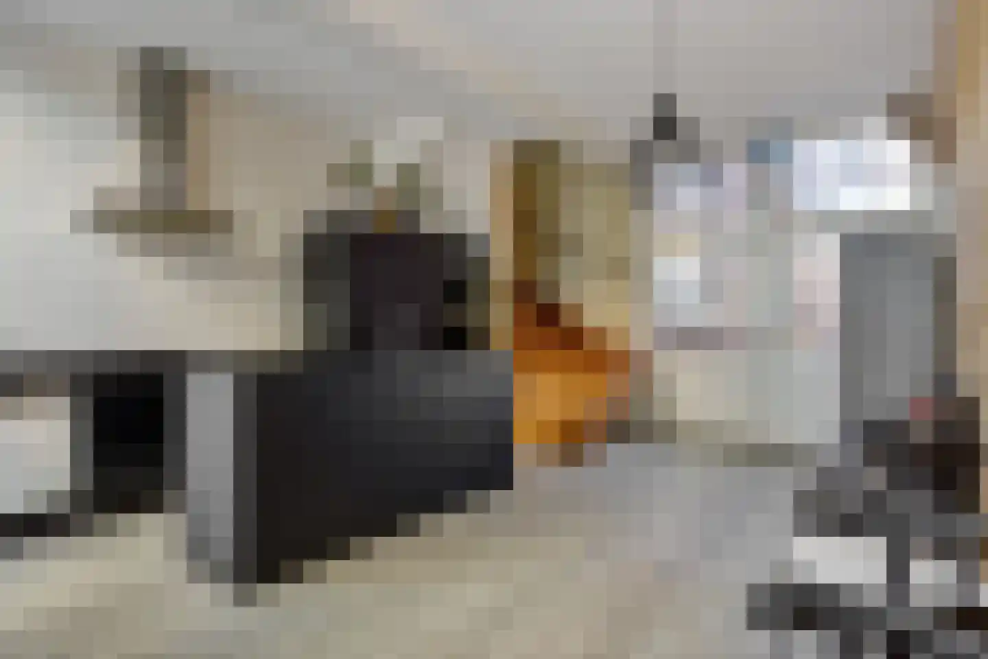 Boksheuvelstraat 22 's-Hertogenbosch thumbnail 15