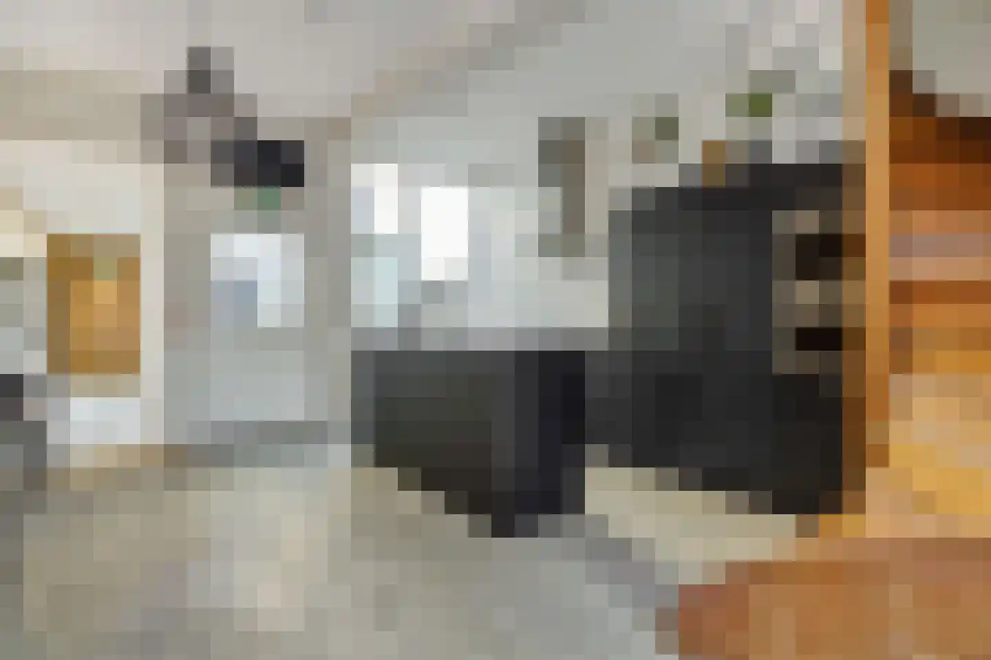 Boksheuvelstraat 22 's-Hertogenbosch thumbnail 17