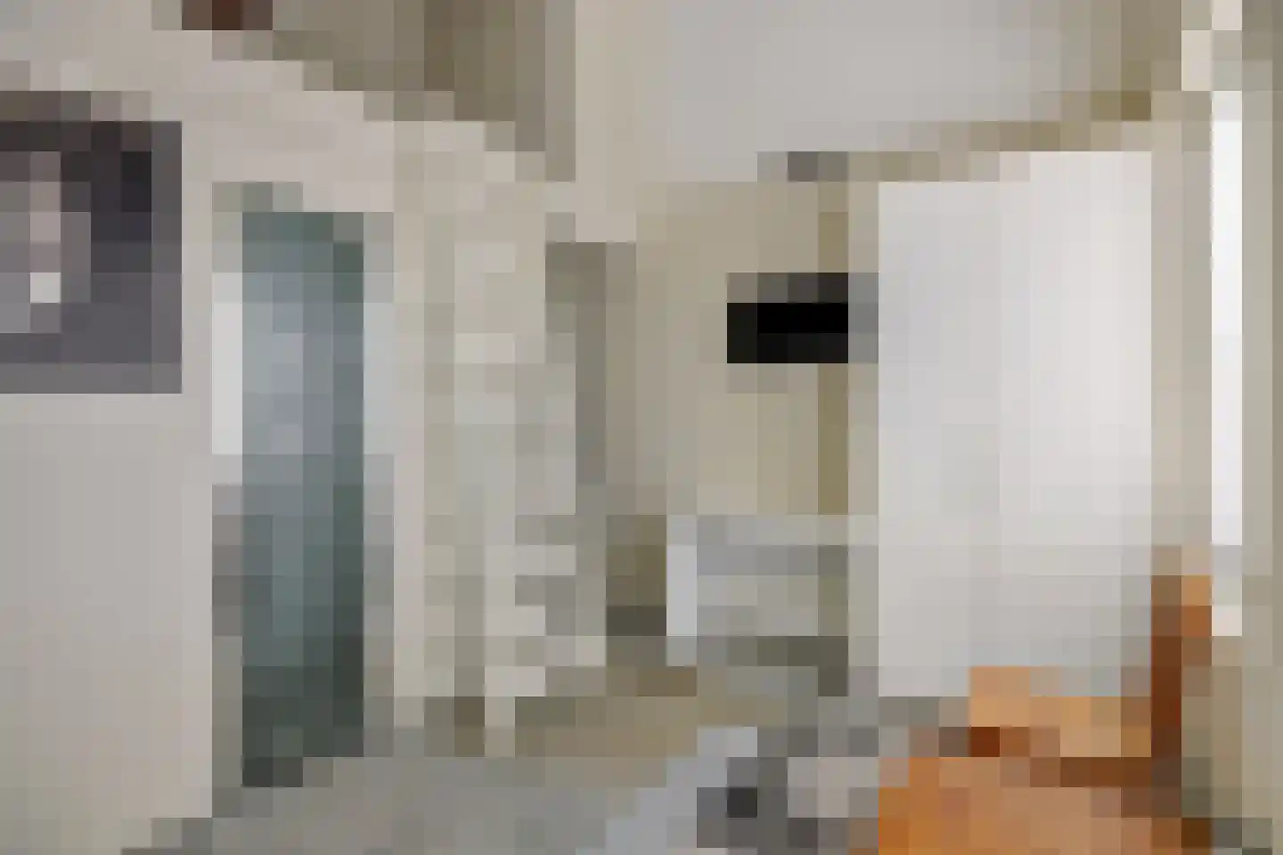 Boksheuvelstraat 22 's-Hertogenbosch thumbnail 26