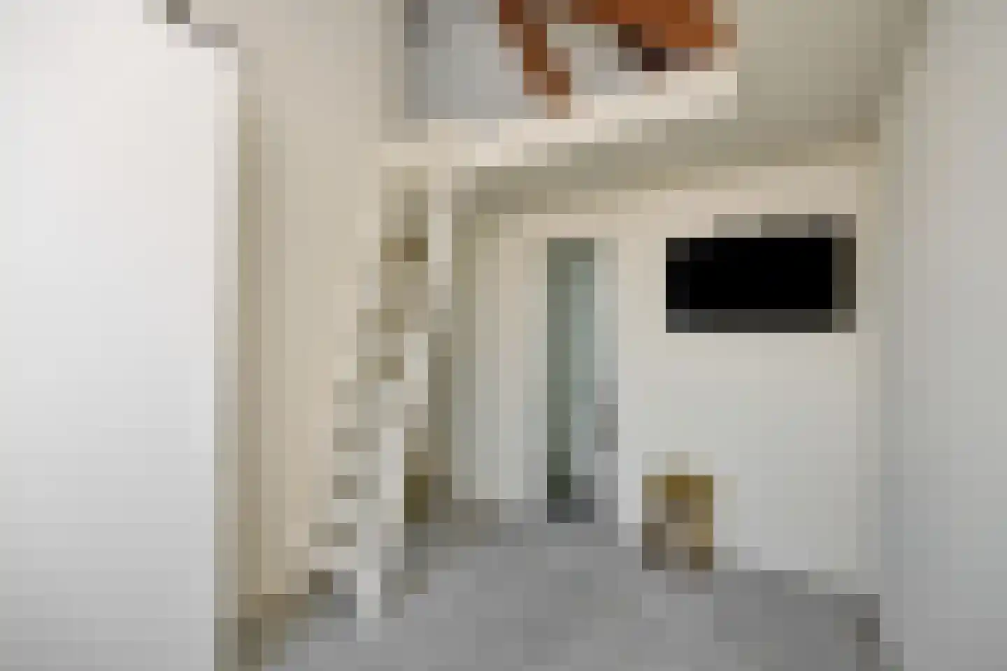 Boksheuvelstraat 22 's-Hertogenbosch thumbnail 29