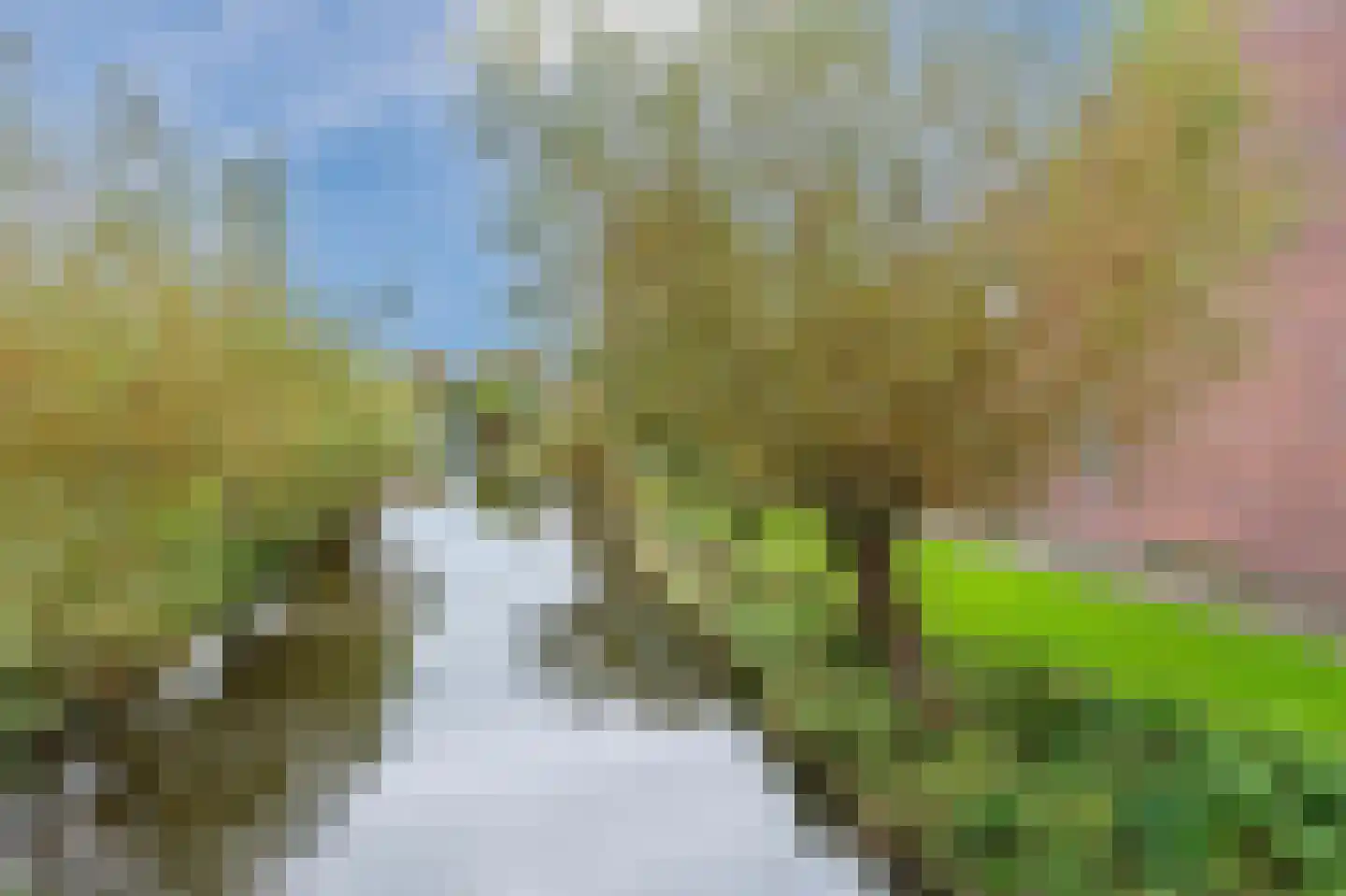 Boksland 56 Assendelft thumbnail 30