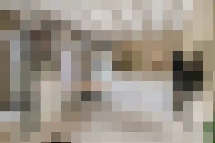 Boksprong 19 Best thumbnail 10