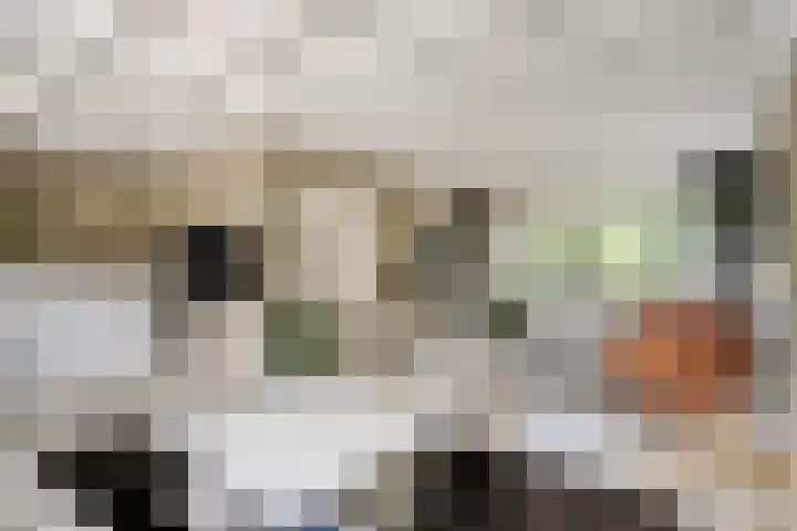 Boksprong 19 Best thumbnail 11