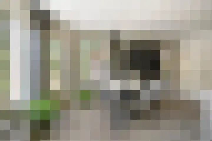 Boksprong 19 Best thumbnail 14