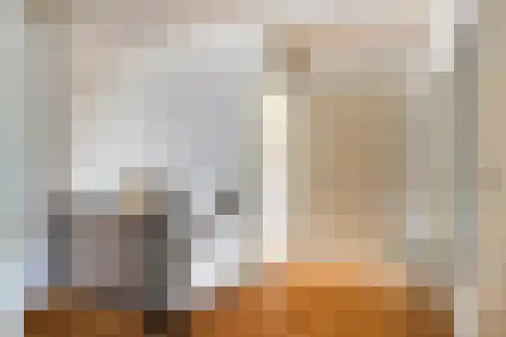 Boksprong 19 Best thumbnail 18