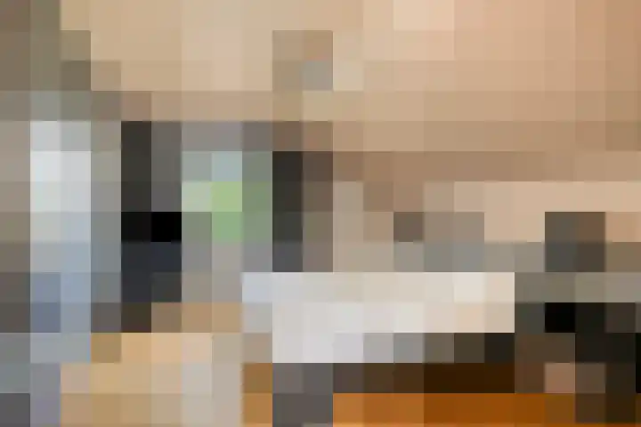 Boksprong 19 Best thumbnail 20