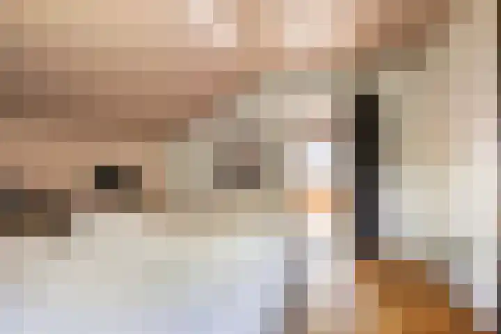 Boksprong 19 Best thumbnail 21