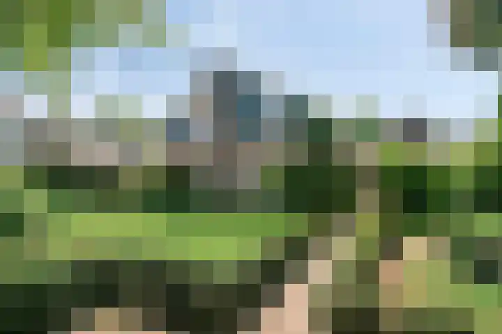 Boksprong 19 Best thumbnail 27