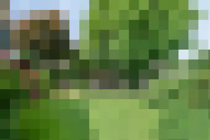 Boksprong 19 Best thumbnail 28