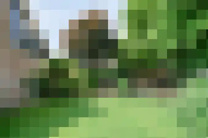 Boksprong 19 Best thumbnail 29