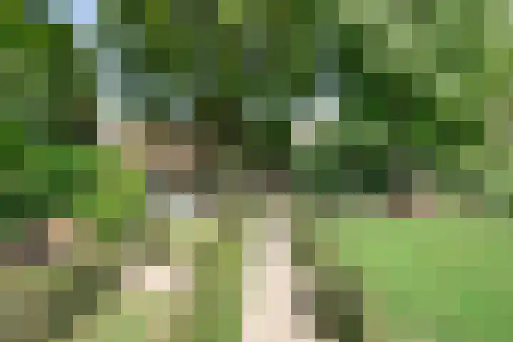 Boksprong 19 Best thumbnail 30