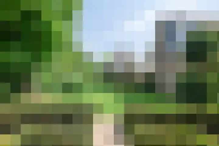 Boksprong 19 Best thumbnail 31