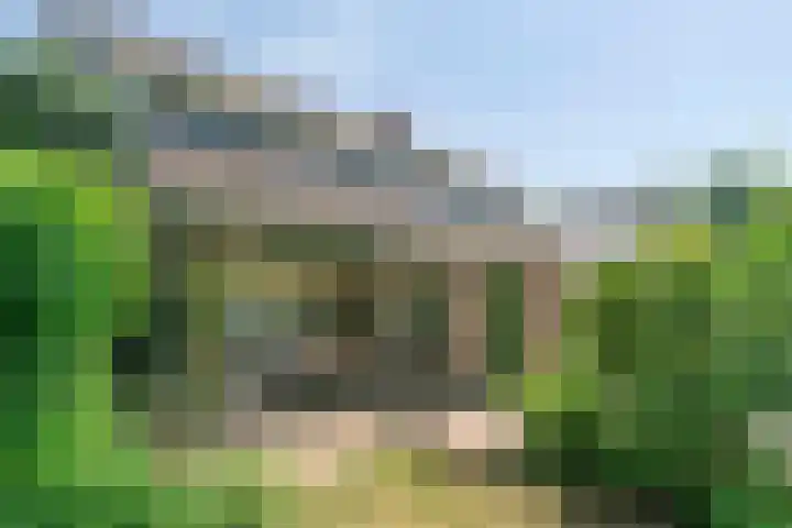 Boksprong 19 Best thumbnail 32