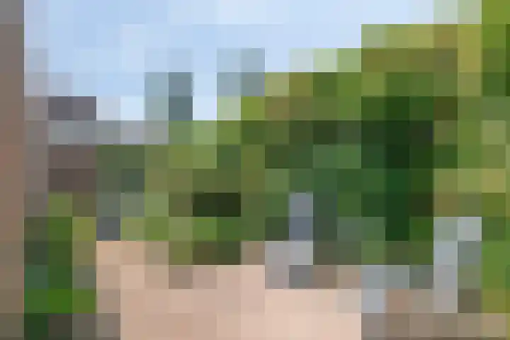 Boksprong 19 Best thumbnail 33