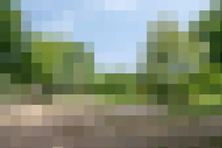 Boksprong 19 Best thumbnail 34