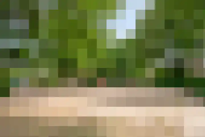 Boksprong 19 Best thumbnail 35