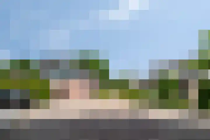 Boksprong 19 Best thumbnail 36
