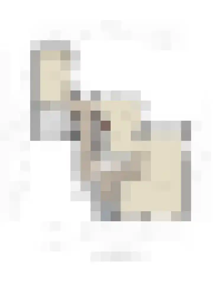 Boksprong 19 Best thumbnail 37