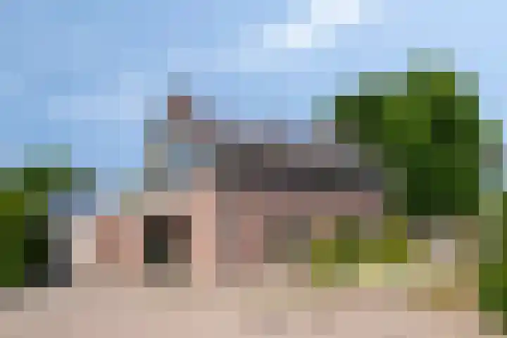 Boksprong 19 Best thumbnail 4
