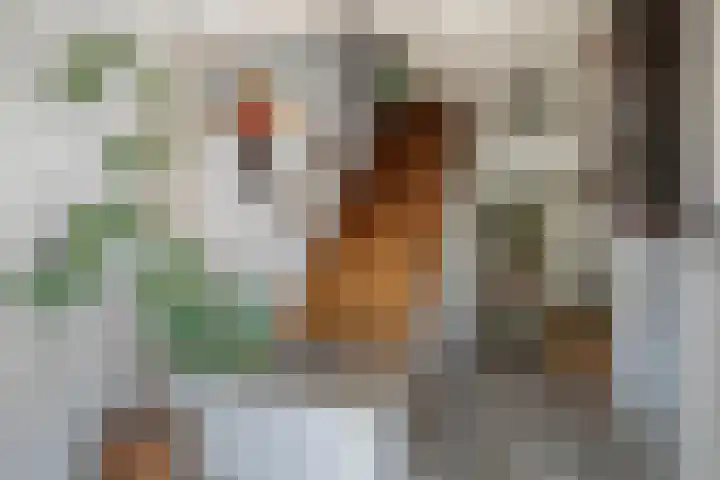 Boksprong 19 Best thumbnail 5